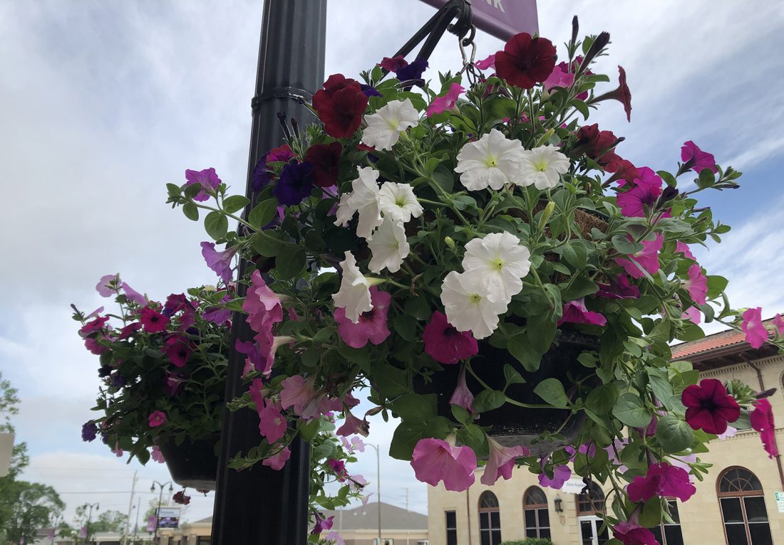 Marshalltown Central Business District looking forward to spring | News, Sports, Jobs - Vimarsana News